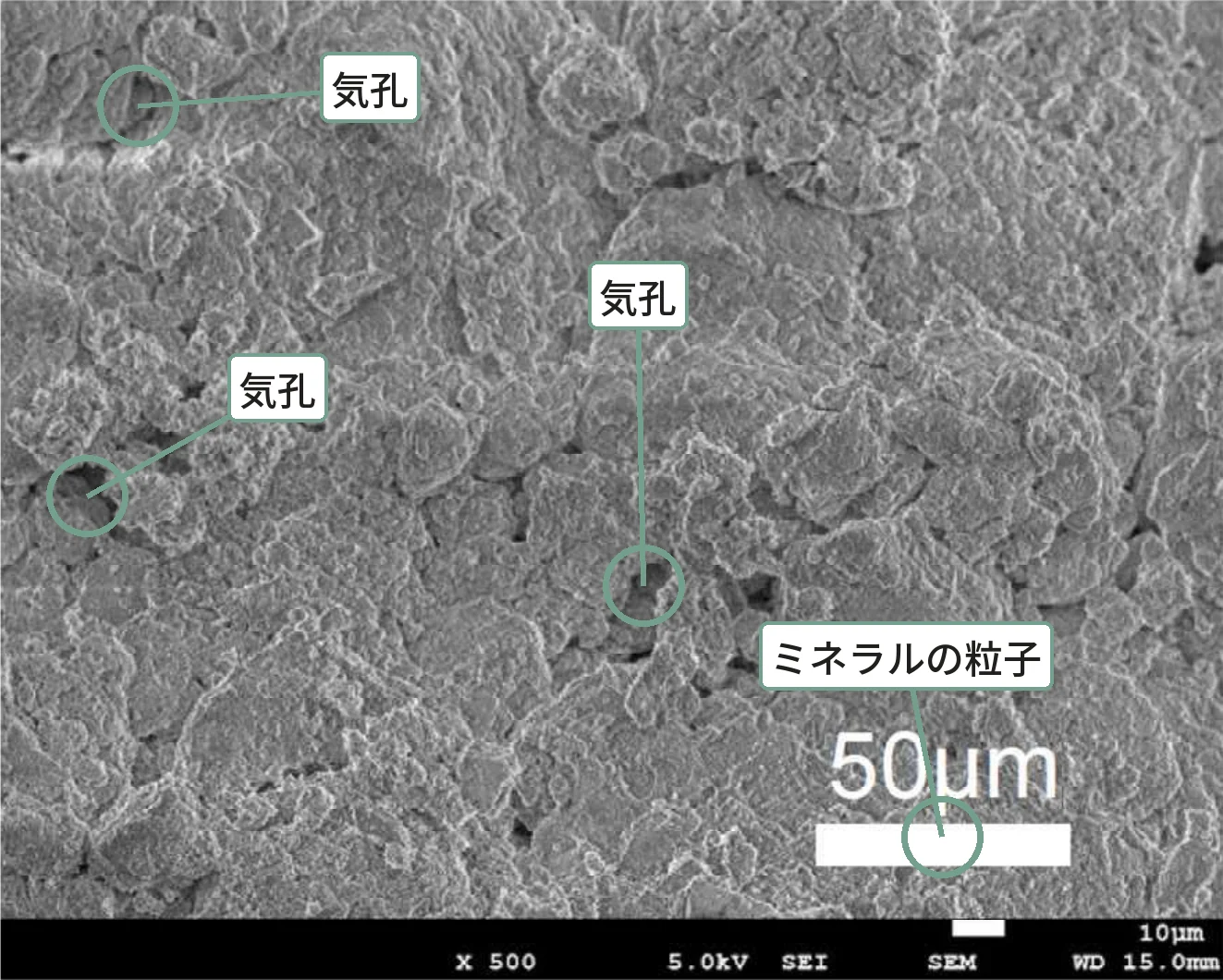 テラウェル断面の電子顕微鏡写真(×500)。粒子のすき間がつながった気孔になっている