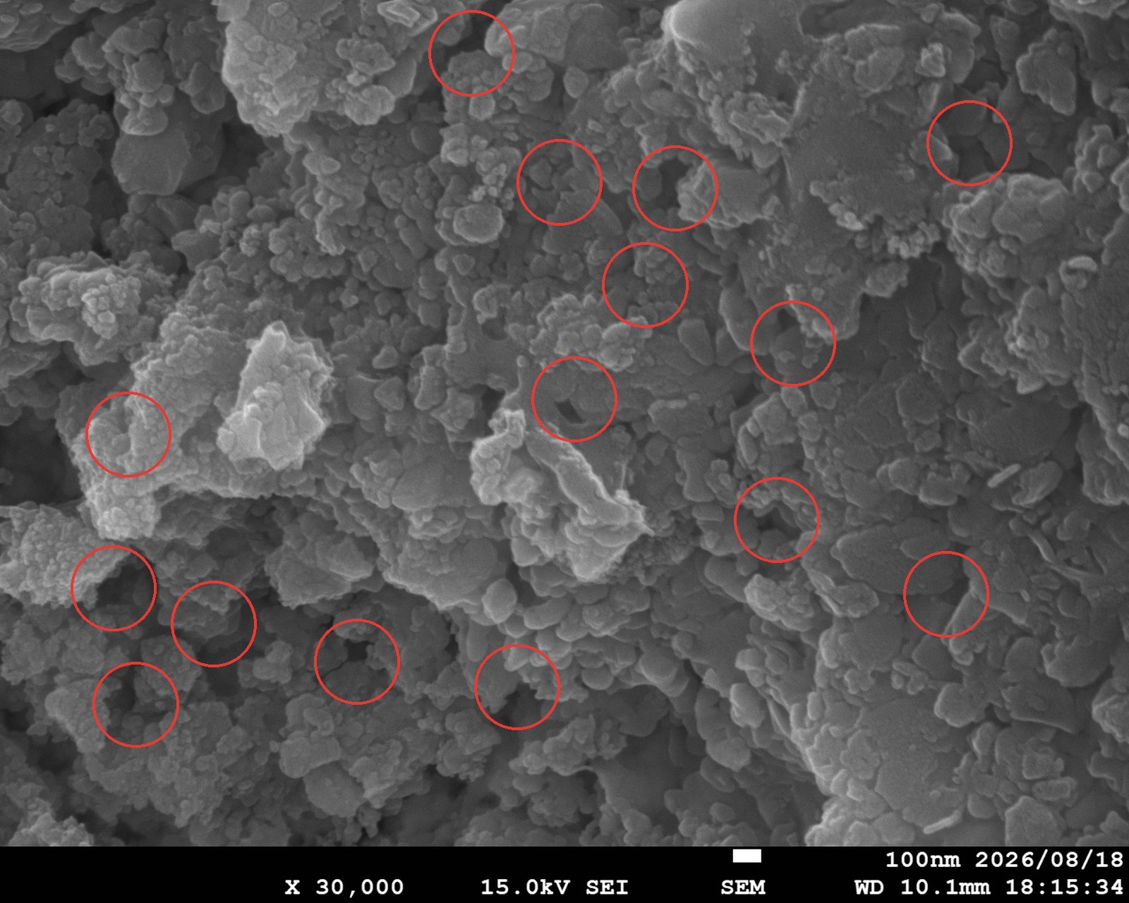 Terrawell の破断面を走査型電子顕微鏡で3万倍に拡大した写真。細かな粒子が積み重なり、その隙間に細孔が残っている。細孔の一例を赤い円で示している。